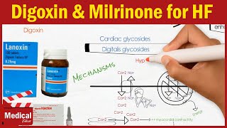 Pharmacology CVS 12 Heart Failure Treatment Part 2 Digoxin  Dobutamine  Dopamine  Milrinone [upl. by Ahsieyt]