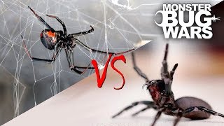 Spider vs Spider Showdowns 15  MONSTER BUG WARS [upl. by Nylanaj781]