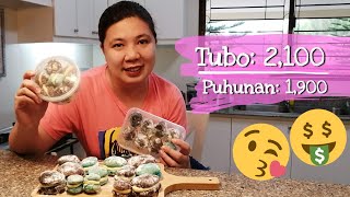 DIY Crinkles with Pastillas Filling pang Negosyo [upl. by Yeh515]