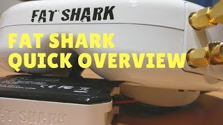 Fatshark Dominator V3 Overview [upl. by Kurtzman]