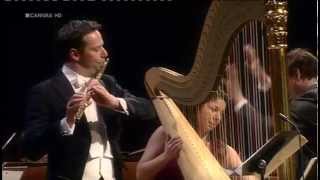 Anneleen Lenaerts and Walter Auer play Concerto for flute and harp in C major KV 299 by Mozart [upl. by Nyltiak]