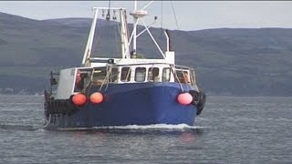 Trawling and Tubing Live Nephrops Prawns [upl. by Bristow272]