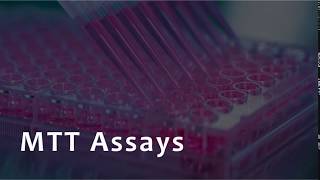 MTT Assay for Cell Viability [upl. by Killoran96]