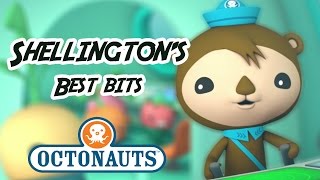 Octonauts  Shellington Sea Otter  60 minutes  Character Best Bits [upl. by Ylenats]