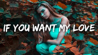 Little Mix  If You Want My Love Lyrics [upl. by Ber]