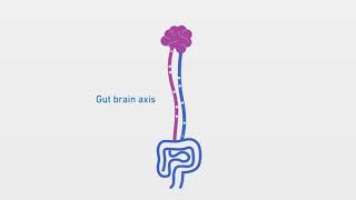 What is the gutbrain axis [upl. by Olga10]