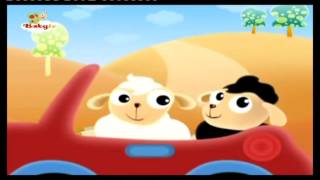 BabyTV BabyHood Sheeps car english [upl. by Llerdnad]