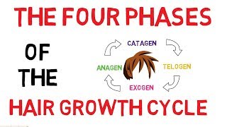 Understanding The Hair Growth Cycle  Adam Explains [upl. by Lacee]