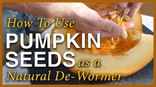 Pumpkin Season  Using The Seeds As A Dewormer [upl. by Kcirddes]