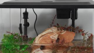 Tetra® Products — 10 Gallon Aquarium Kit Setup [upl. by Gaspard]