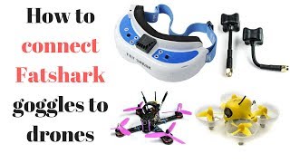 How to connect fat shark goggles to drones [upl. by Medorra]