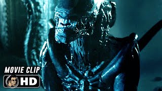 AVP ALIEN VS PREDATOR Clip  quotXenomorph Kills Predatorquot 2004 [upl. by Petrine]