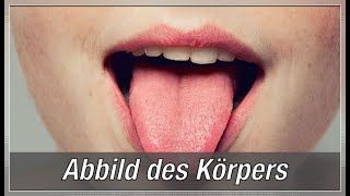 Die Zunge – Abbild des Körpers Warum [upl. by Carleen244]