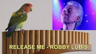 RELEASE ME  ROBBY LUBIS [upl. by Sibie21]