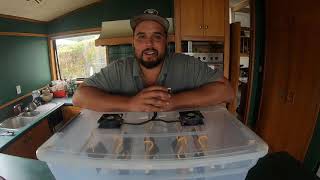 DIY MeatBiltong drying box  Biltong recipe [upl. by Sibell]