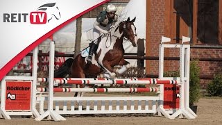 Springreiten lernen Parcours reiten leicht gemacht [upl. by Zoara]