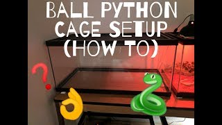 Ball Python Cage Setup 40 Gallon How I Setup my Tanks [upl. by Ailekat]