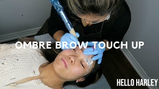 Ombre Brow Touch up  Healing [upl. by Fairleigh]