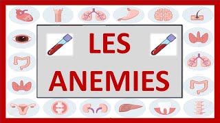 🔴 hématologie  LES ANEMIES feriprives megaloblastiques  les thalassemies [upl. by Dat]