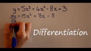 Differentiation [upl. by Lawry345]