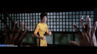 Bruce Lee vs Kareem Abdul Jabbar HD [upl. by Crawford]