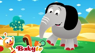 Baby Hood  BabyTV [upl. by Prisilla]