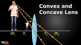 Convex and Concave Lenses [upl. by Bianka]