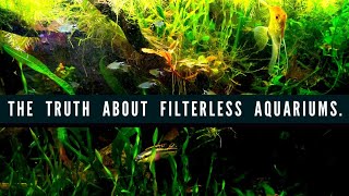 Creating A FILTERLESS AQUARIUM Using Anoxic AND Aerobic Bacteria How to Setup A Natural Fish Tank [upl. by Yarehs]