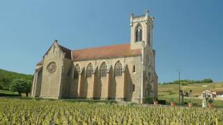 The Wines of Burgundy [upl. by Chuah961]