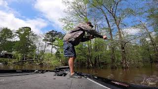 Bass Fishing on Lake DArbonne April 2021 [upl. by Endora]