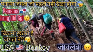 USA 🇺🇸Donkey Panama 🇵🇦 Jungle  Full Details Video  बहुत ख़ौफ़नाक India 🇮🇳 To USA 🇺🇸 Donkey [upl. by Annabell]