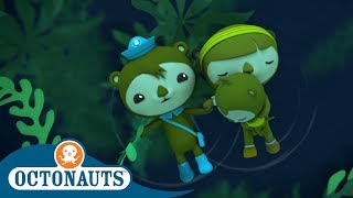 Octonauts  Shellington Adrift  Compilation  Cartoons for Kids [upl. by Stoeber]