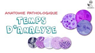 Anatomie Pathologique  Temps dAnalyse [upl. by Nicks]