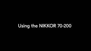 Nikon School Using the NIKKOR Z 70200mm f28 VR S [upl. by Ezitram]