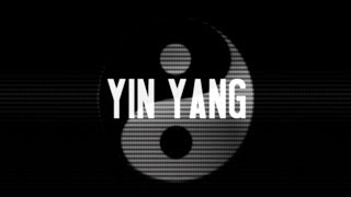 USS  Yin Yang OFFICIAL LYRIC VIDEO [upl. by Artamas781]