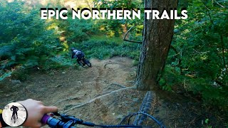 Wharncliffe Woods MTB Rocky amp Flowy Trails [upl. by Letsirc]