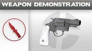 Weapon Demonstration Enforcer [upl. by Artenahs641]