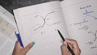 Transamination amino acid Catabolism biochemistry [upl. by Godfree]