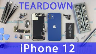 iPhone 12 Teardown [upl. by Suivatal]