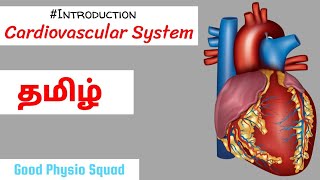 Physiology  Introduction to the Cardiovascular System in Tamil Lecture [upl. by Einahpehs148]