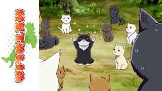 Hetalia Official Dub clip  Japan Cats tuna crisis [upl. by Anaihk]