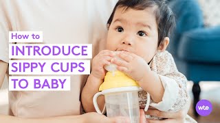 When Can Babies Use a Sippy Cup Transition Tips  More  What to Expect [upl. by Berlauda]