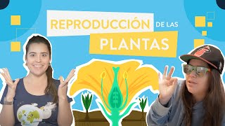 La reproducción de las plantas [upl. by Gromme764]