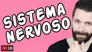 SISTEMA NERVOSO  FISIOLOGIA  Aula  Biologia com Samuel Cunha [upl. by Bonnibelle]