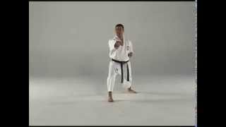 1st Kata  Taigyoku Shodan [upl. by Lenhart]