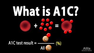 A1C Test for Diabetes Animation [upl. by Arimahs]