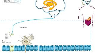 Gut bacteria and mind control to fix your brain fix your gut [upl. by Gawen]