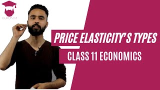 Price Elasticity’s Types in Nepali New Syllabus  Class 11  Economics [upl. by Yentnuoc]