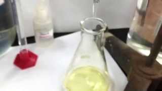 Determining Amount of Iodine in Iodized Salt Lab [upl. by Anilasor]