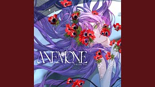 ANEMONE [upl. by Homere665]